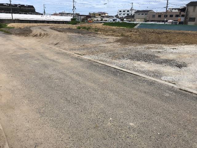 　現地写真