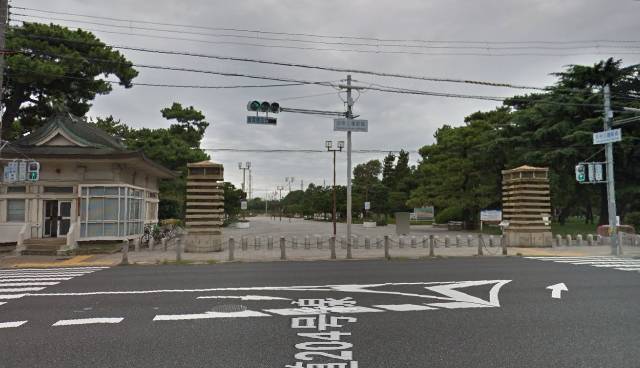 　大きな浜寺公園へ徒歩約５分