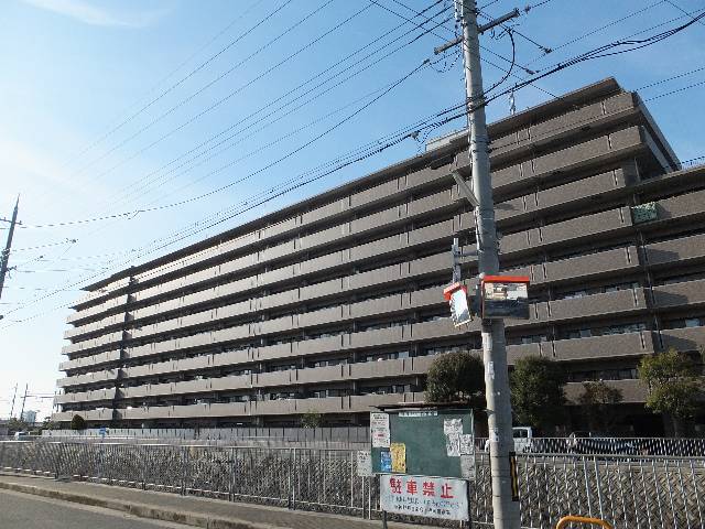 堺市西区上野芝町３丁